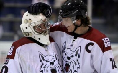 Ice Dog top Brown Bears