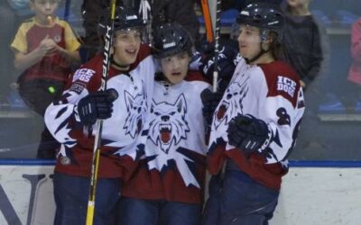 Ice Dogs prevail 4-1