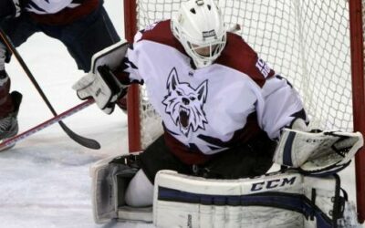 Ice Dogs sweep Magicians