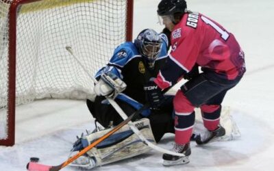 Wild ends Ice Dogs’ win streak