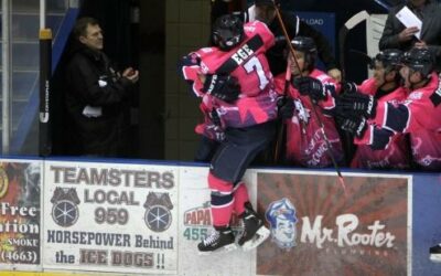 Ege’s goal lifts Ice Dogs past Wild