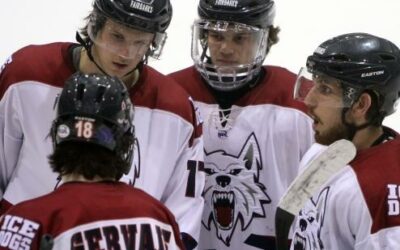 Ice Dogs win Game 1 of playoff series