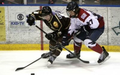 Ice Dogs down Brown Bears