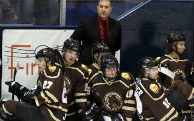 Brown Bears down Ice Dogs