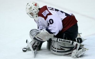 Ice Dogs blank Wild for 2-1 series advantage