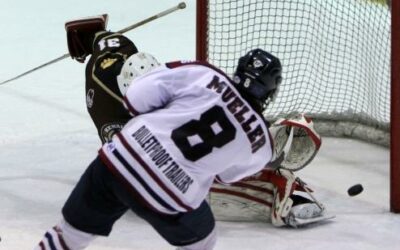 Ice Dogs Sweep Brown Bears