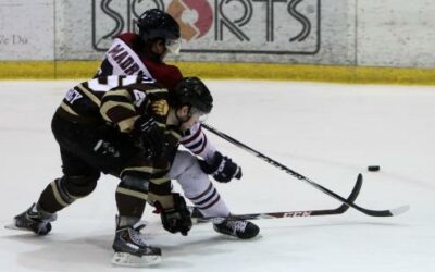 Ice Dogs cruise to 7-2 win over Brown Bears