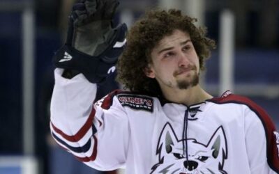 Ice Dogs squander lead in game 3 as season ends