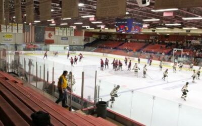 Ice Dogs pull away from Brown Bears with six third-period goals