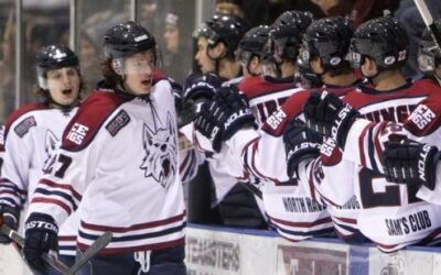 Ice Dogs rally but fall in overtime against Chill