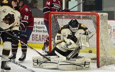 Ice Dogs sweep three-game series, beat Brown Bears for 10th time this season