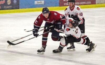 Ice Dogs split with Knights after OT loss