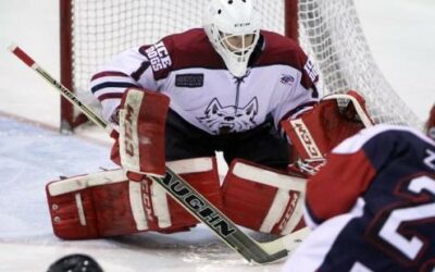 Ice Dogs sweep Titans