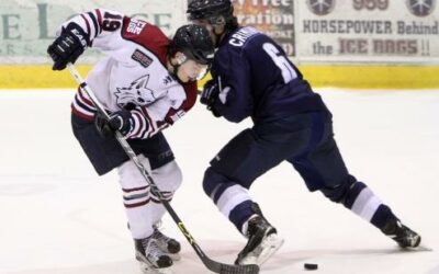 Wilkes-Barre/Scranton Knights end Ice Dogs’ 11-game win streak