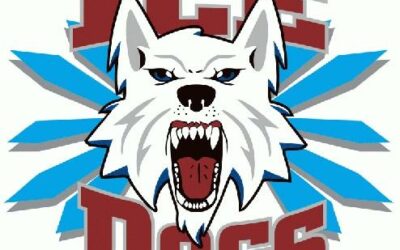 Alex Mehnert lifts Ice Dogs past Brown Bears in overtime