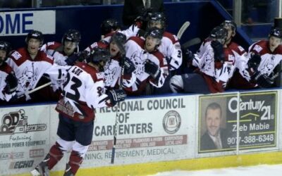 Ice Dogs come up short against Wildcats