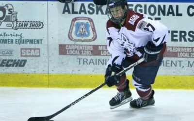 Ice Dogs get back on winning track with victory over Wildcats