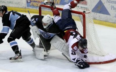 Ice Dogs downed by 2 goals