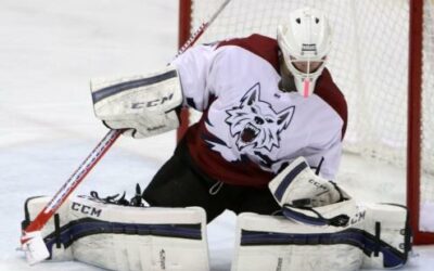 Ice Dogs make 3-1 comeback