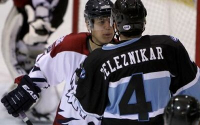 Fairbanks ice Dogs fall in Chill finale