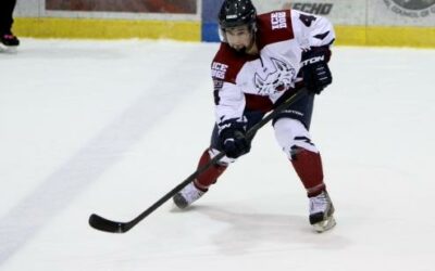 Ice Dogs' late rally comes up short