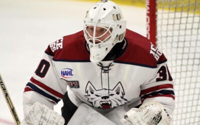 Ice Dogs roll past Brown Bears