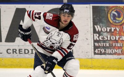 Ice Dogs bested by Brown Bears in overtime