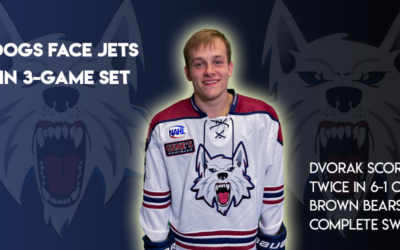 Ice Dogs Sweep Brown Bears